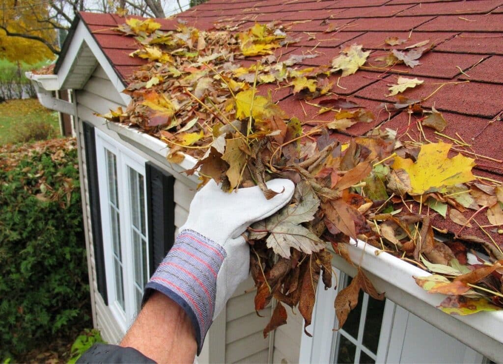 Gutter Cleaning Services