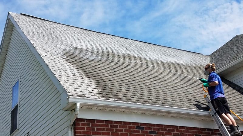 Roof Cleaning Services