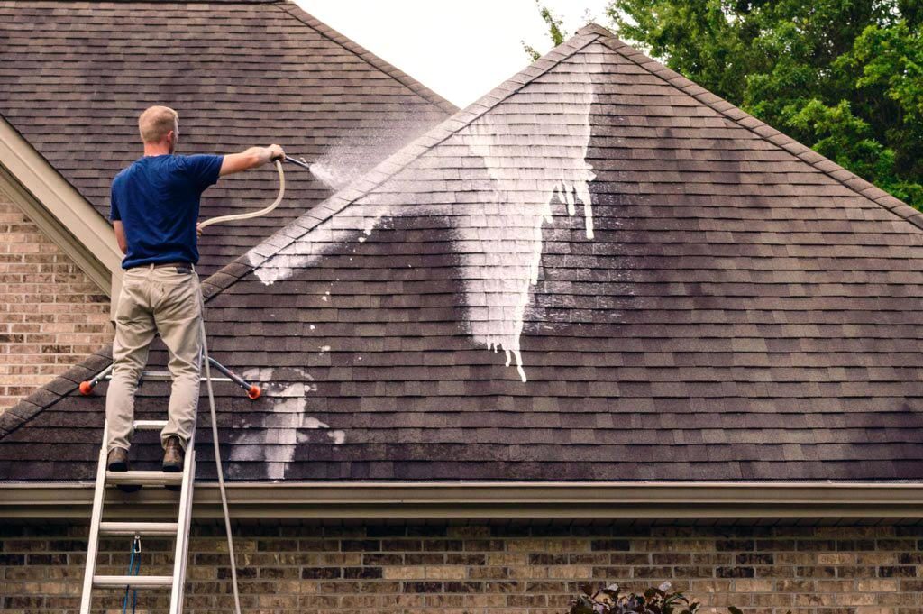 Roof Cleaning Company in Boise